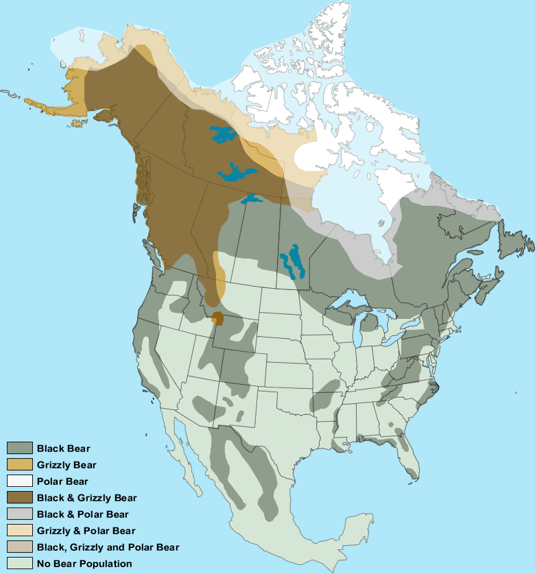 Map showing black bear, grizzly bear, and polar bear ranges across North America